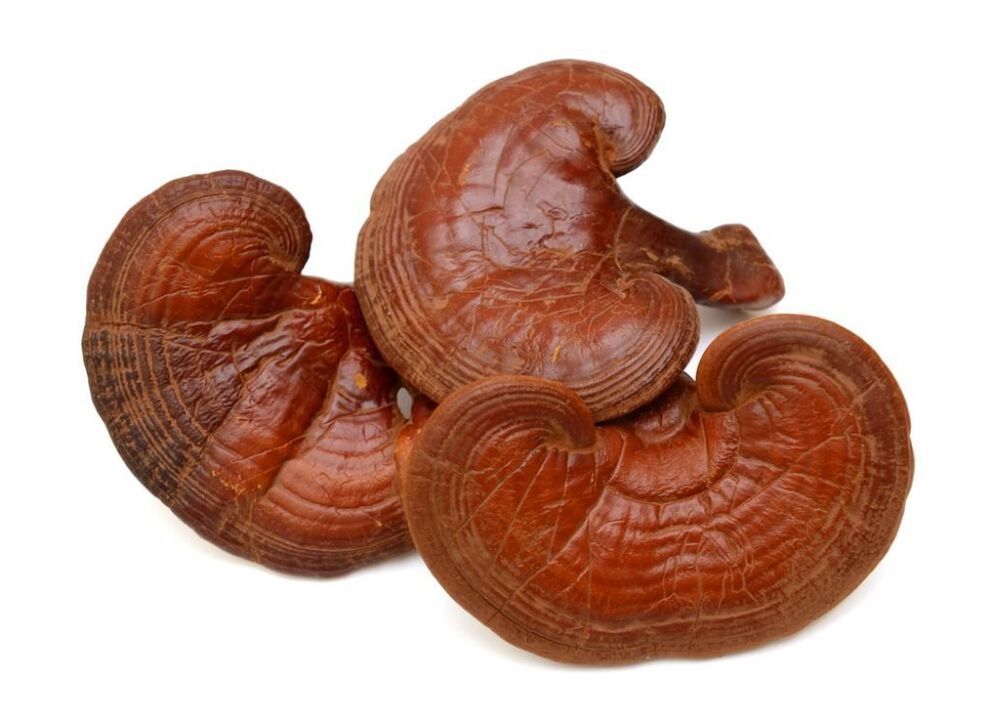 Weiprost enthält Reishi-Pilze